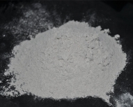 zg彩票网网站
